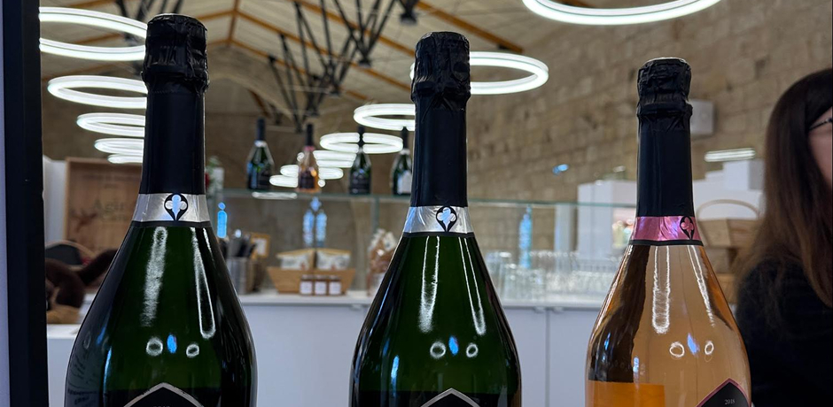 Saint Emilion tour and wines - 05