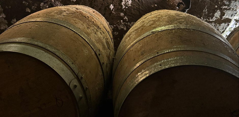 Saint Emilion tour and wines - 08