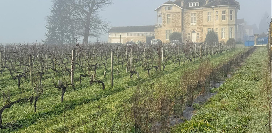 The Médoc Wine Route - 11
