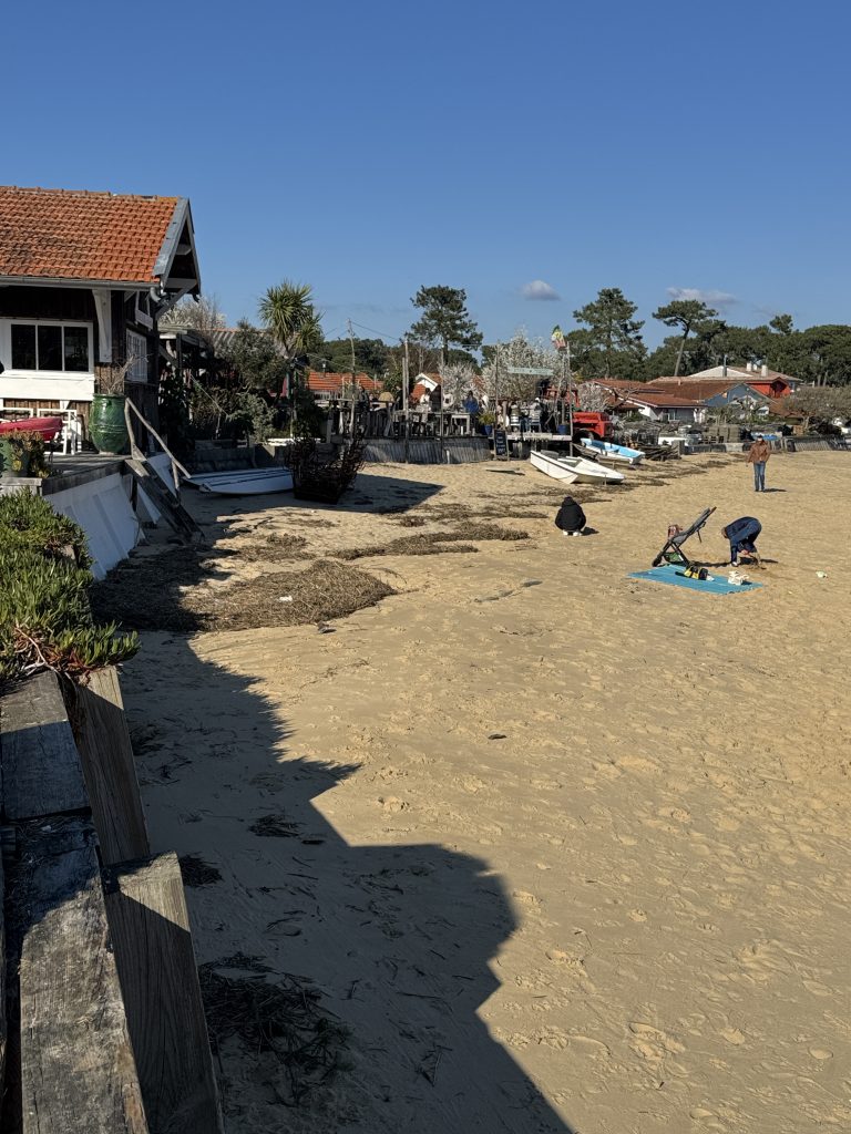 arcachon bay