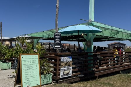 oyesters arcachon